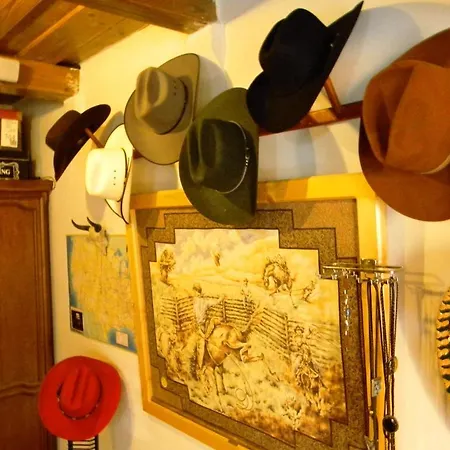 Country house Transylvania Cowboy