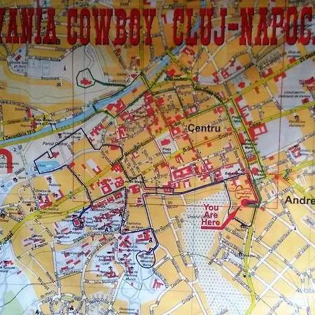 Transylvania Cowboy