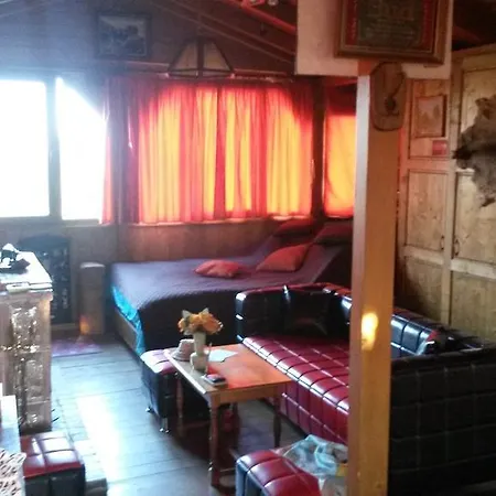 Transylvania Cowboy