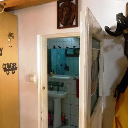 Transylvania Cowboy Cluj-Napoca