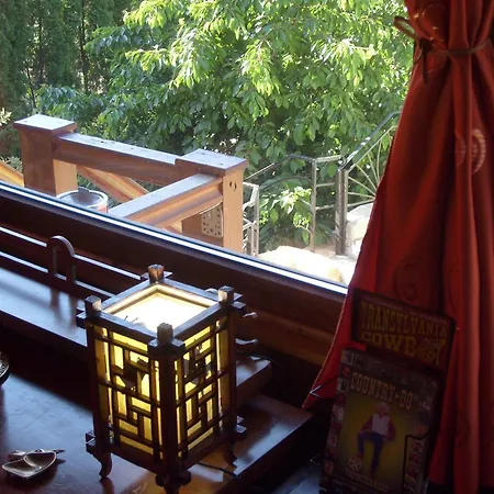 Country house Transylvania Cowboy *