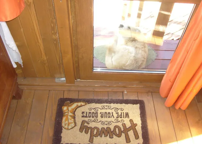 Transylvania Cowboy Kluž